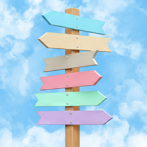 Wide Variety of Specializations 