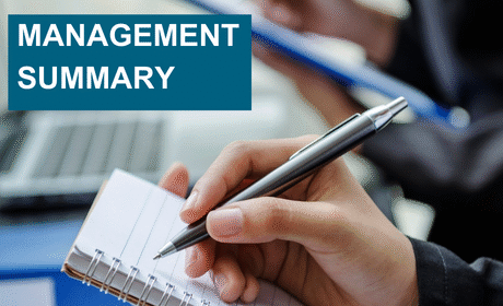 Management Summary Research Study „Delving into the interplay among market-driving strategy, dynamic capabilities, transformational leadership, and firm performance“