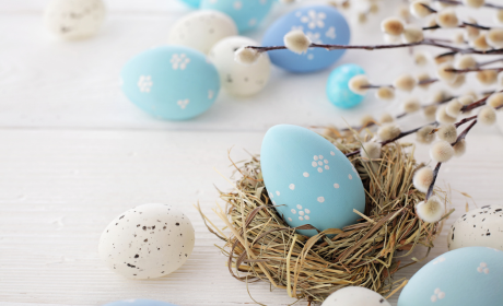 No Classes during Dean’s Day and Easter /April 2 – April 6, 2026/